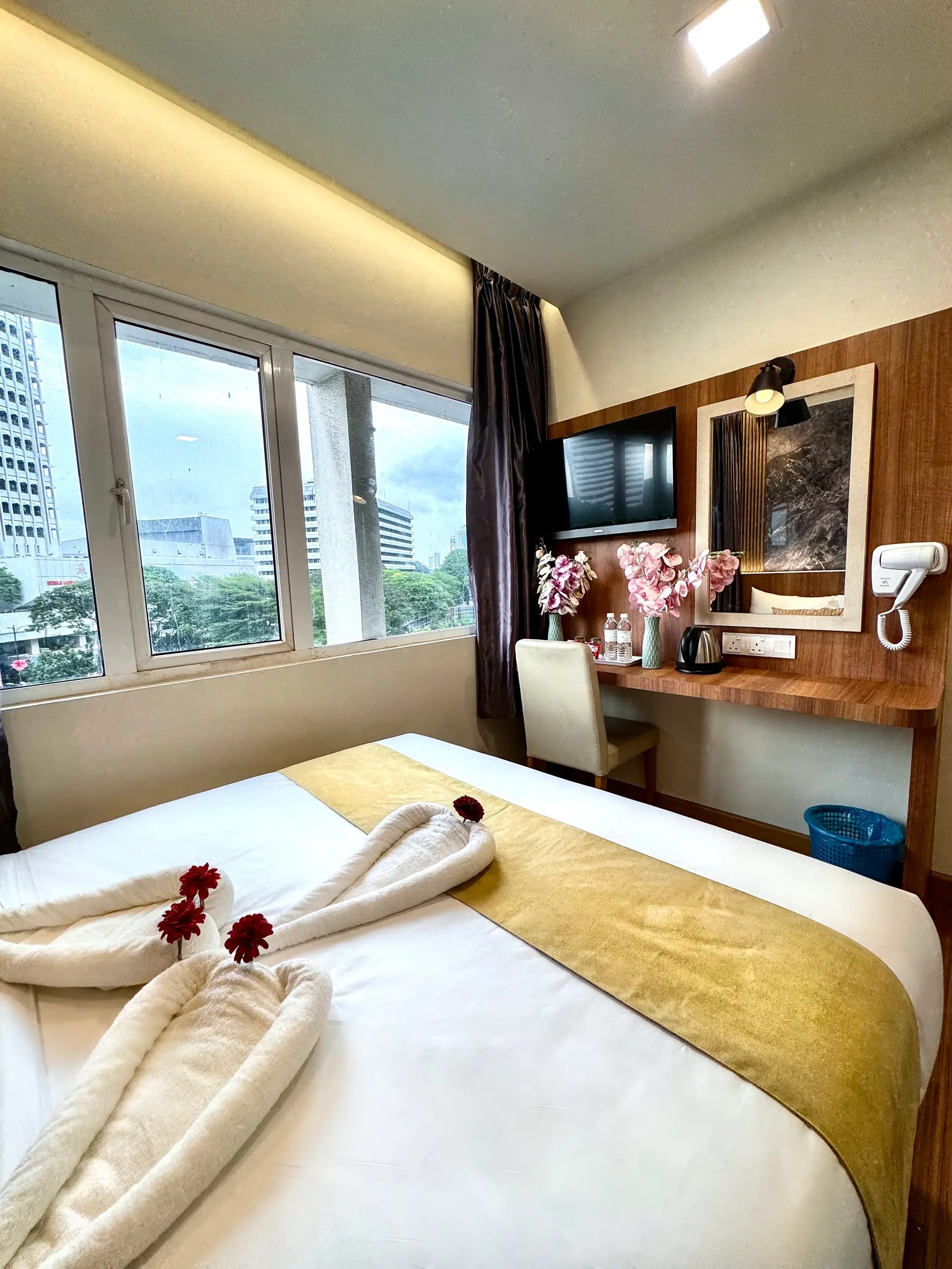 Deluxe Queen Room - City View room photo 3